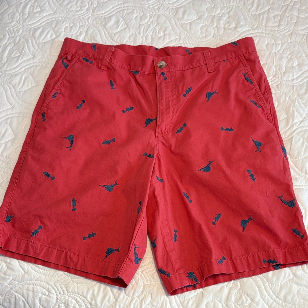 Red Shorts with Blue Embroidery